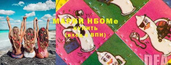 мдпв Инсар
