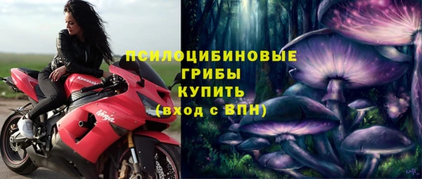 МДПВ Алексин