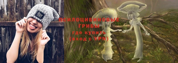 МДПВ Алексин