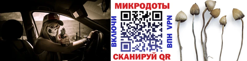 как найти   Новомичуринск  Псилоцибиновые грибы прущие грибы 